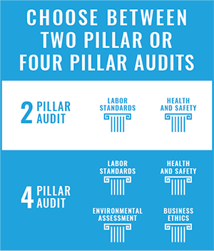 2 or 4 pillar audits