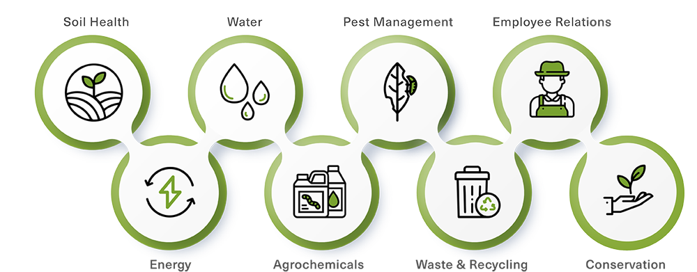 Sustainability standards icons